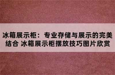 冰箱展示柜：专业存储与展示的完美结合 冰箱展示柜摆放技巧图片欣赏